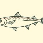 不同季節的湖泊釣魚技巧與應對策略