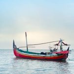 阿拉伯海的釣魚魅力：尋找巨型金槍魚與旗魚的興奮之旅